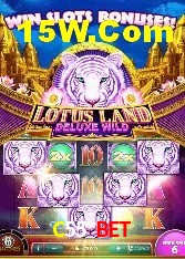 Casino Ao Vivo C55 Bet