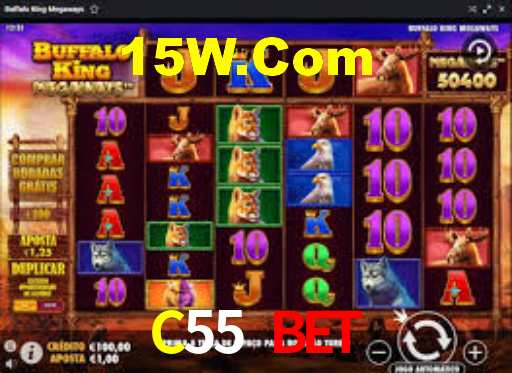 Experimente o Login Seguro Premium no C55 Bet